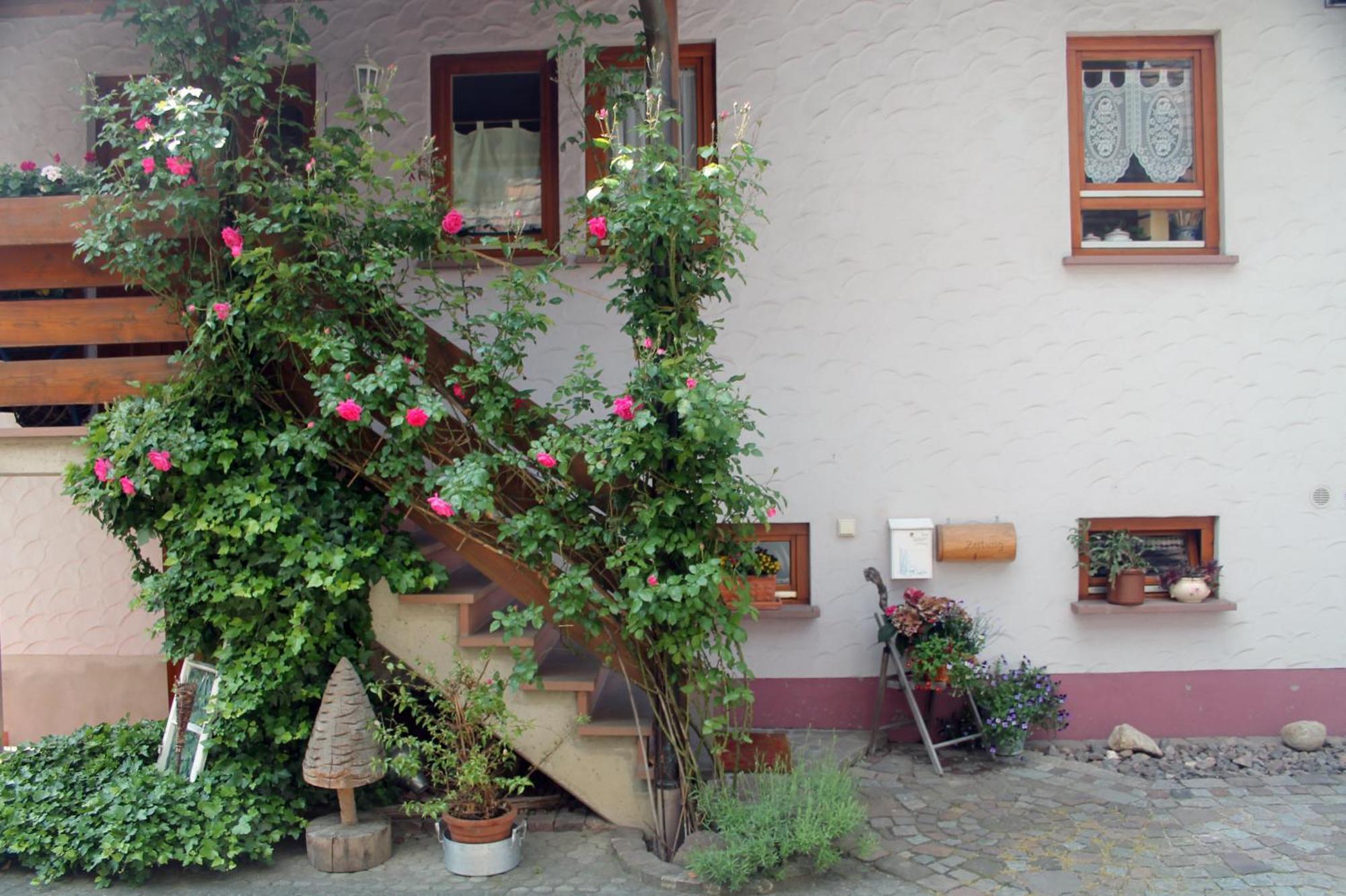 Апартаменты Haus Am Bergli Хербольцхайм Экстерьер фото