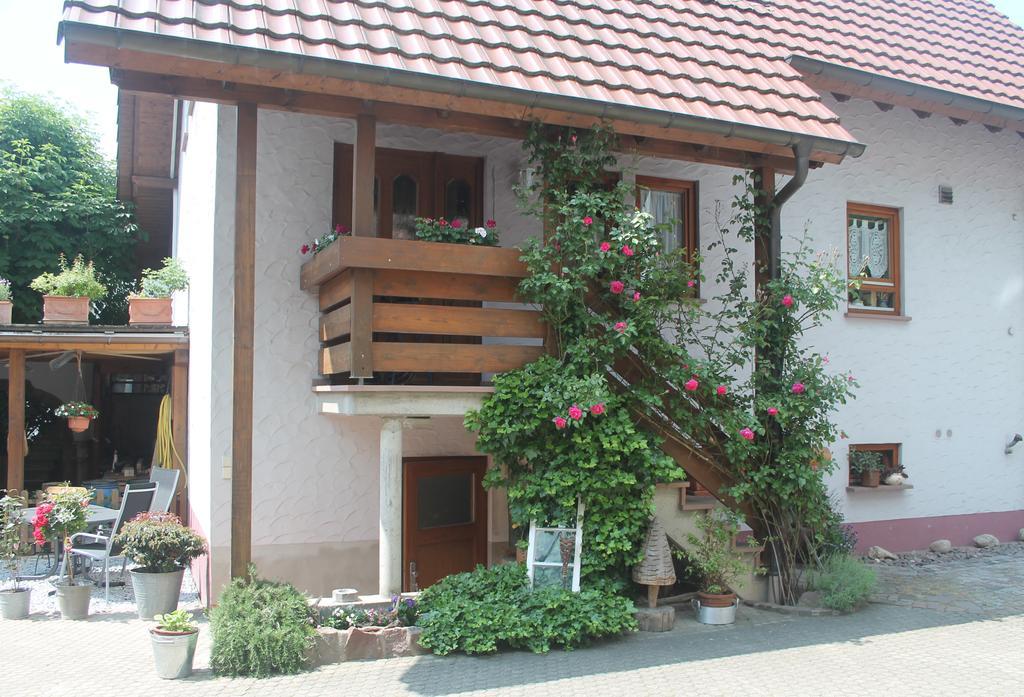 Апартаменты Haus Am Bergli Хербольцхайм Номер фото